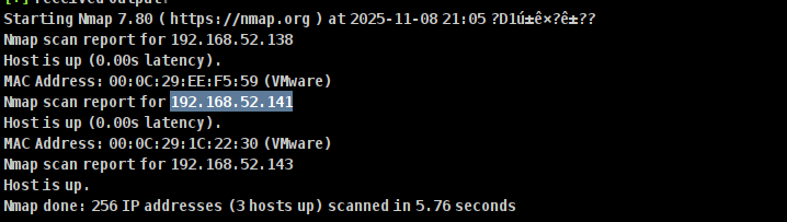 image-20251108210551718